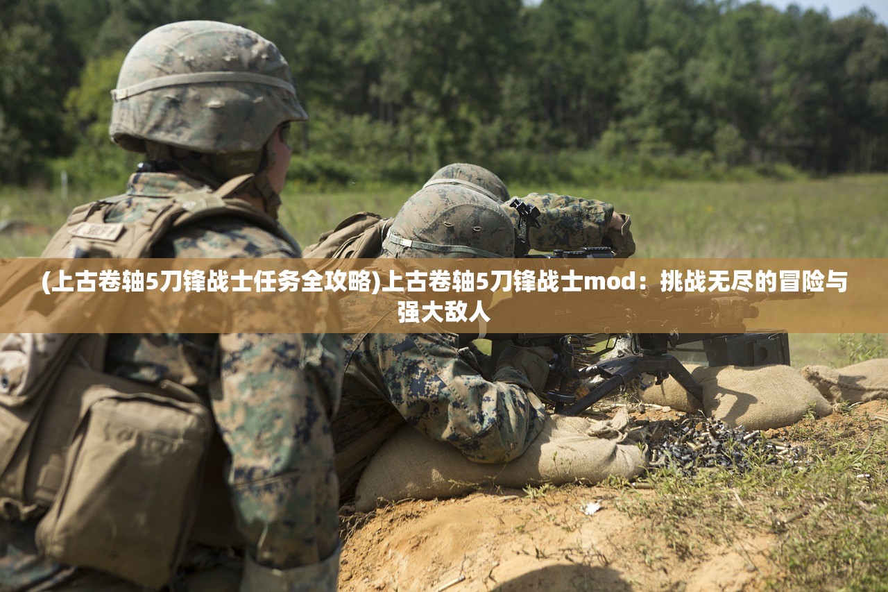 (猎魔战纪vip礼包)探讨猎魔战纪山海经账号交易的合法性与风险