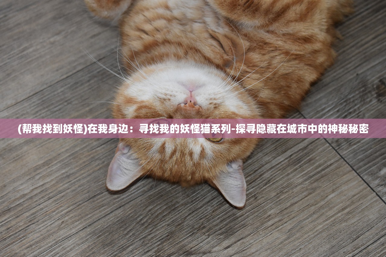 2024年新澳门期期准|精选最佳解读方法与实践案例_先锋版ISHOP.5.275