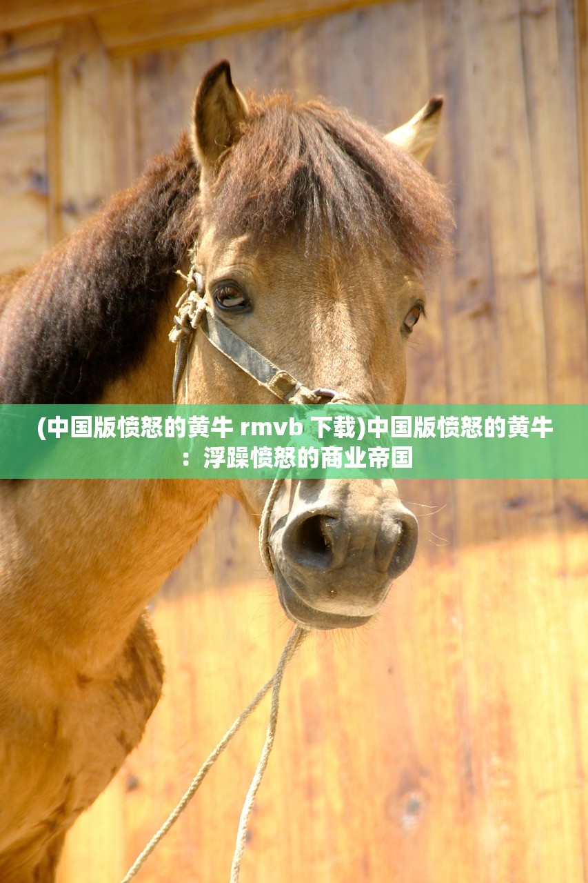 新澳门今晚平特一肖|探索澳门的无限魅力与精彩活动_汉化版.7.87