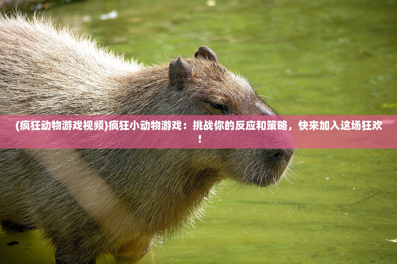 2024澳门开奖结果出来了吗|定性解答解释落实_冒险版2.649
