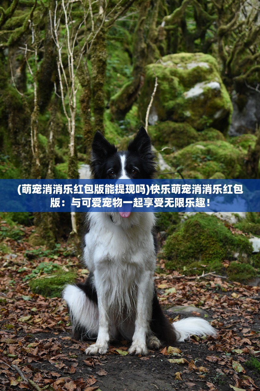 新澳门出彩综合走势图2023年|绝对经典解释落实_Prime.1.821