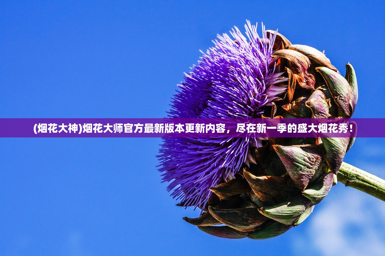 494949最快开奖结果香港下载|探索澳门的秘密与美景_移动版2.230