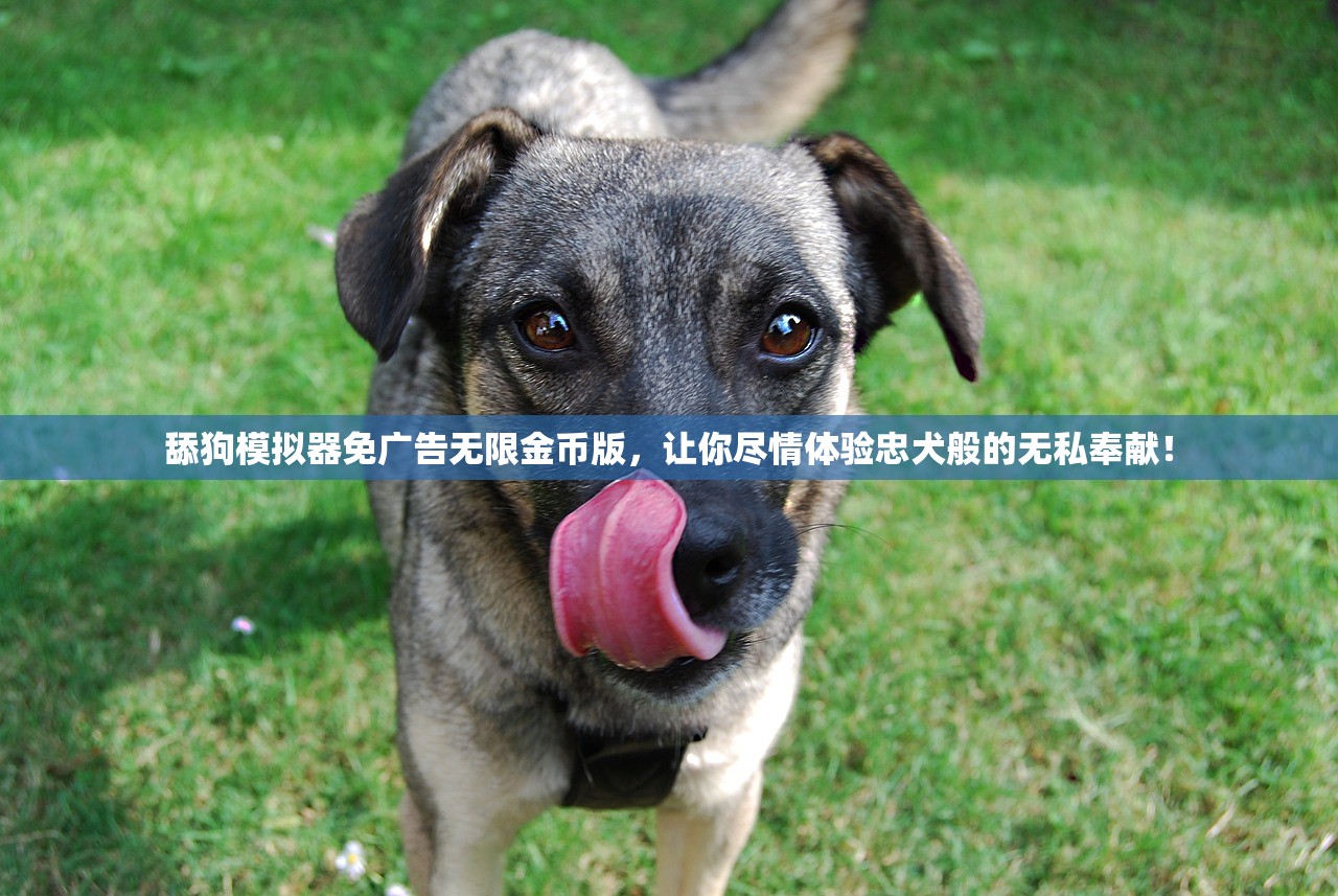 新澳门一肖一码中恃|探索城市的秘密角落_中心版.6.700